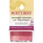 Burts Bees Overnight Intensive Lip Treatment